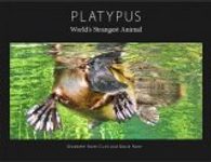 Platypus: World's Strangest Animal