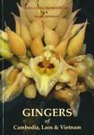 Gingers of Cambodia, Laos & Vietnam