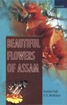 Beautiful Flowers of Assam