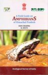 A Field Guide on Amphibians of Himachal Pradesh
