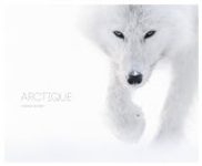 Arctique [Arctic]