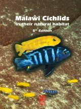 Tanganyika Cichlids in their Natural Habitat | NHBS Academic