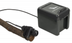 Elekon Batlogger A+ Bat Detector