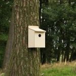 Flatpack Bird Box - 25mm Entrance Hole