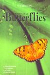 South Indian Butterflies