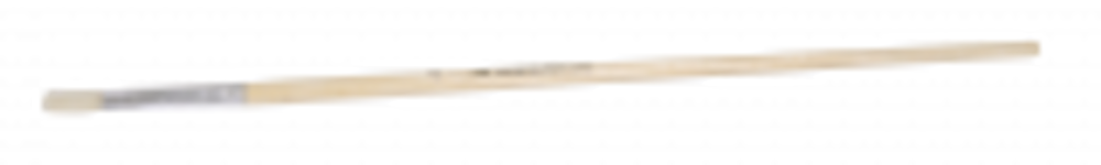 Large Specimen Brush