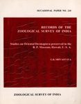 Studies on Oriental Dermaptera Preserved in the B.P. Museum, Hawaii, U.S.A.