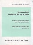 Studies on Symbiotic Flagellates from some Indian Termites
