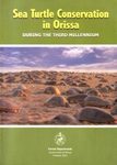 Sea Turtle Conservation in Orissa