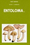 Fungi Europaei, Volume 5: Entoloma s.l. [English / Italian]
