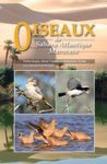 Oiseaux du Sahara Atlantique Marocain [Birds of the Moroccan Atlantic Sahara]