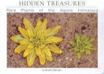 Hidden Treasures