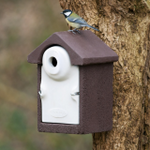 Vivara Pro Seville 32mm WoodStone Nest Box