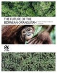 The Future of the Bornean Orangutan