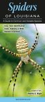 Spiders of Louisiana
