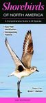 Shorebirds of North America