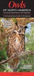 Owls of North America – Including Nighthawks and Nightjars