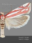 The Moths of America North of Mexico, Fascicle 9.5: Pelochrista Lederer of the Contiguous United States and Canada (Lepidoptera: Tortricidae: Eucosmini)