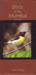Birds of the Mumbai Region