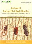 Revision of Indian Flat Bark Beetles