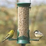 Challenger Plastic Seed Feeder
