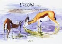 Etosha, Namibia: Drawing African Nature / Dibujando la Naturaleza Africana