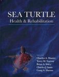 Sea Turtle Health & Rehabilitation