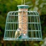 Guardian Peanut Feeder 