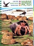Low-Tide Pictolife Eastern Atlantic [English / French / Spanish]