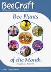 Bee Plants of the Month