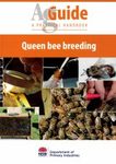 Queen Bee Breeding