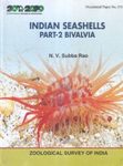Indian Seashells, Part 2: Bivalvia