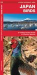 Japan Birds