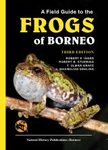 A Field Guide to the Frogs of Borneo
