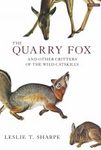 The Quarry Fox