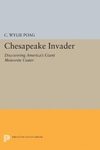 Chesapeake Invader