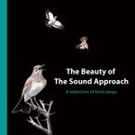 The Beauty of The Sound Approach