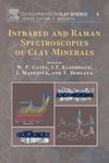 Infrared and Raman Spectroscopies of Clay Minerals