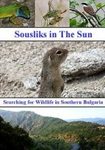 Sousliks in the Sun: Searching for Wildlife in Southern Bulgaria (Region 2)