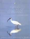 Flying Colours of Vembanad