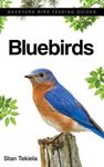 Attracting & Feeding Bluebirds