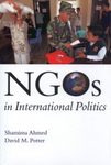 NGOs in International Politics