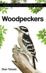 Attracting & Feeding Woodpeckers