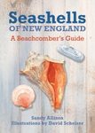 Seashells of New England