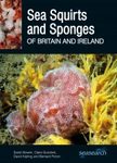英国とアイルランドのホヤと海綿