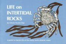 Life on Intertidal Rocks
