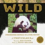 Wild: Endangered Animals in Living Motion – A Photicular Book