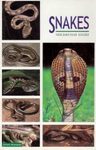 Snakes [of India]