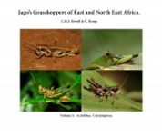 Jago's Grasshoppers of East and North East Africa, Volume 3