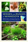 Sedges and Rushes of Minnesota